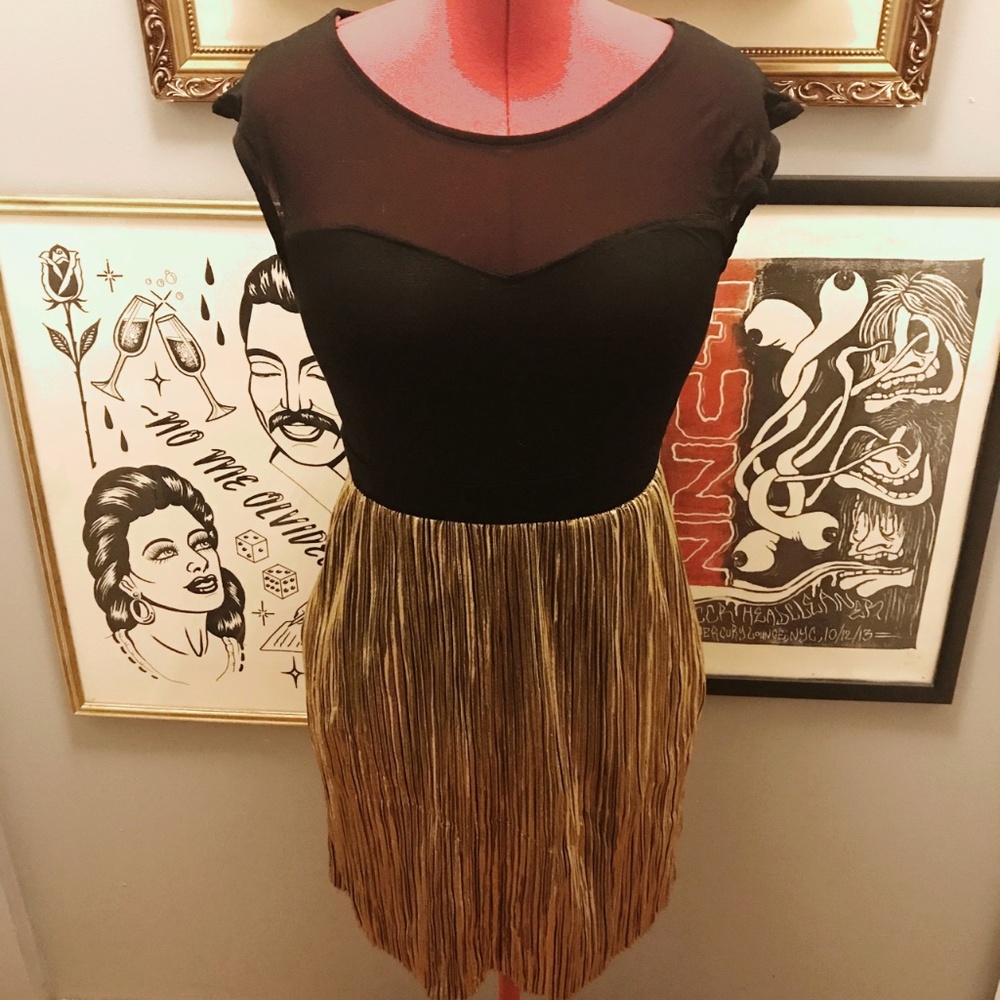 NWT Sheer mesh, metallic pleated  fit and flare